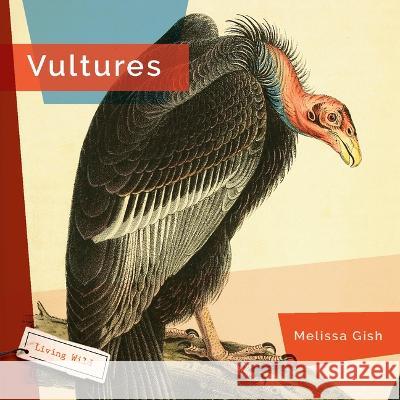 Vultures Melissa Gish 9781682771686 Creative Paperbacks