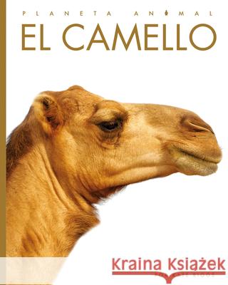 El Camello Kate Riggs 9781682772263 Creative Paperbacks