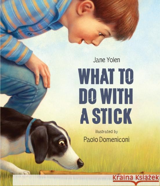 What to do with a Stick: A remarkable toy Jane Yolen 9781682772850