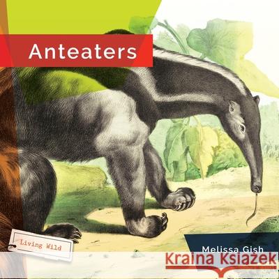 Anteaters Melissa Gish 9781682773208