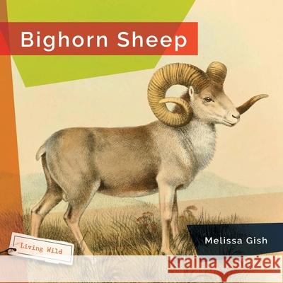 Bighorn Sheep Melissa Gish 9781682773239