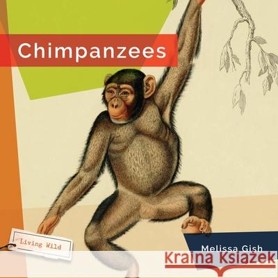 Chimpanzees Melissa Gish 9781682773260