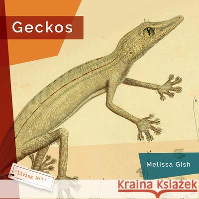 Geckos Melissa Gish 9781682773345