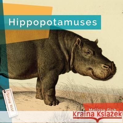 Hippopotamuses Melissa Gish 9781682773369