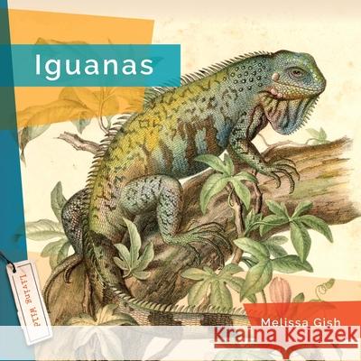 Iguanas Melissa Gish 9781682773383