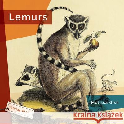 Lemurs Melissa Gish 9781682773406