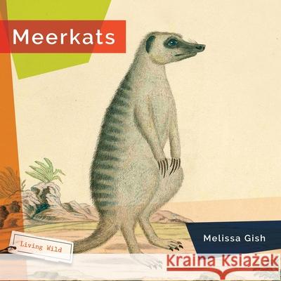 Meerkats Melissa Gish 9781682773437