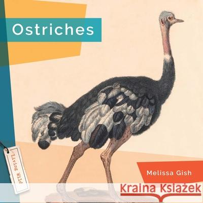 Ostriches Melissa Gish 9781682773451