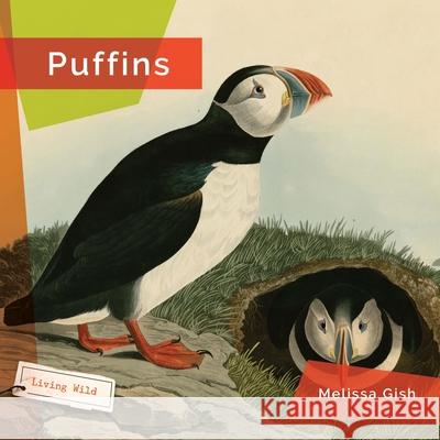 Puffins Melissa Gish 9781682773499