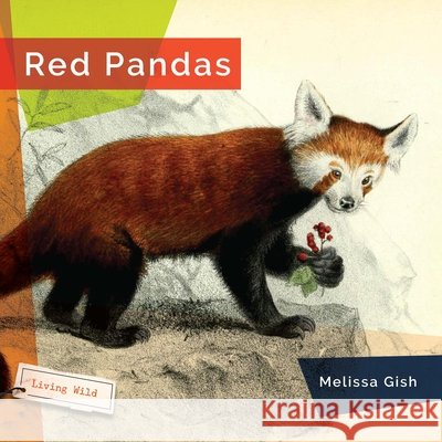 Red Pandas Melissa Gish 9781682773529