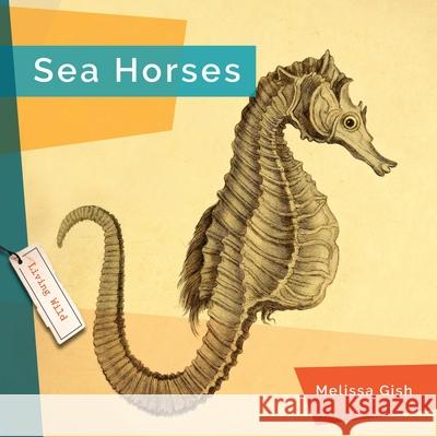 Seahorses Melissa Gish 9781682773550