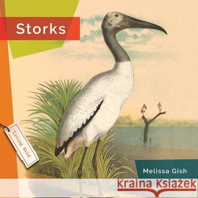 Storks Melissa Gish 9781682773598