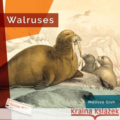 Walruses Melissa Gish 9781682773611