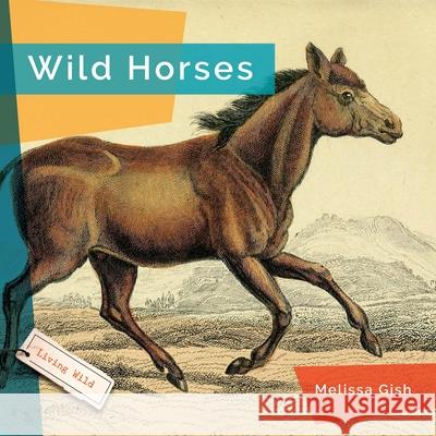 Wild Horses Melissa Gish 9781682773628