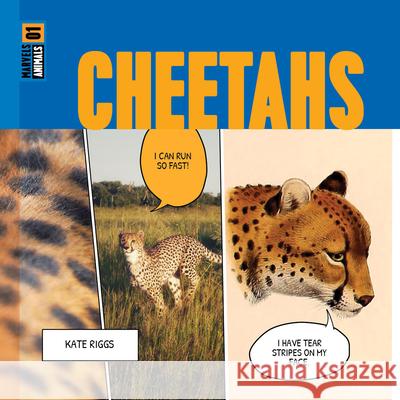 Cheetahs Kate Riggs 9781682773888