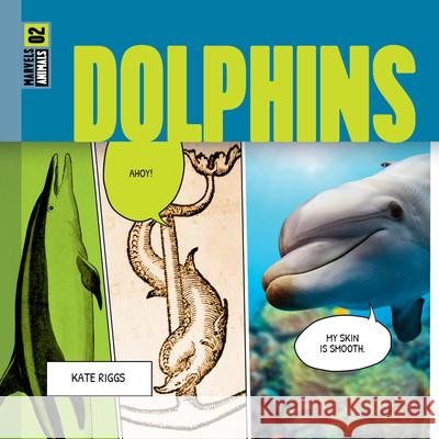 Dolphins Kate Riggs 9781682773895