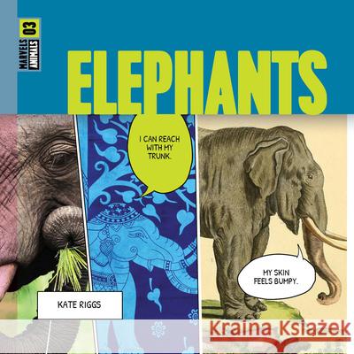 Elephants Kate Riggs 9781682773901