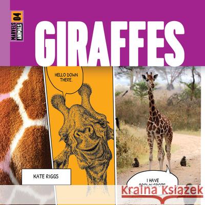 Giraffes Kate Riggs 9781682773918