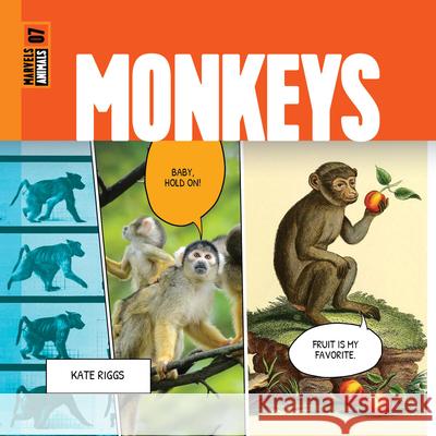 Monkeys Kate Riggs 9781682773949