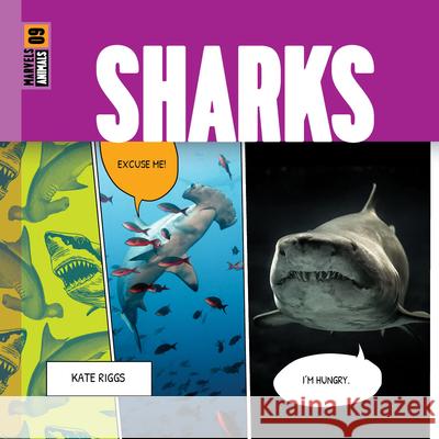 Sharks Kate Riggs 9781682773963 Creative Paperbacks