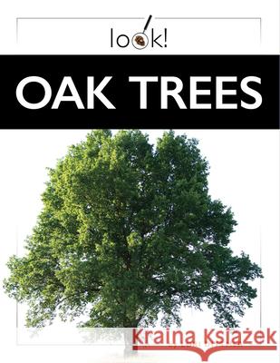 Oak Trees Lori Dittmer 9781682774038 Creative Paperbacks