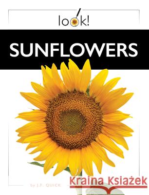 Sunflowers Kate Riggs 9781682774045