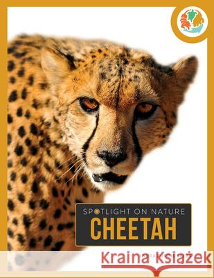 Cheetah Laura Salas 9781682775639