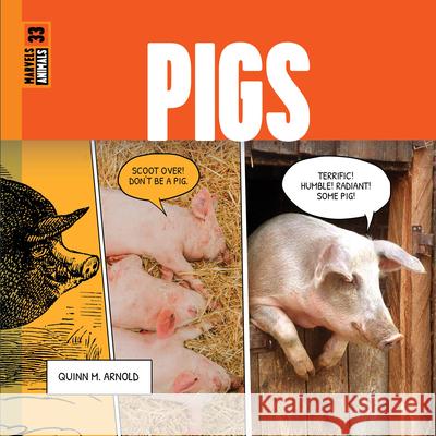 Pigs Quinn M. Arnold 9781682777480 Creative Paperbacks