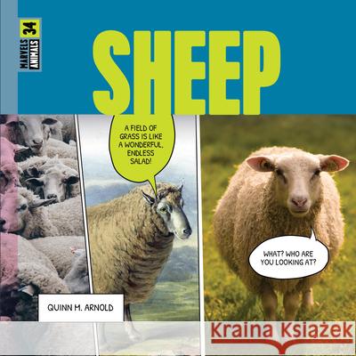 Sheep Quinn M. Arnold 9781682777497 Creative Paperbacks