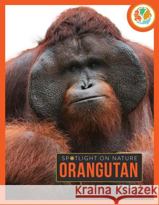 Orangutan Pamela Dell 9781682777923