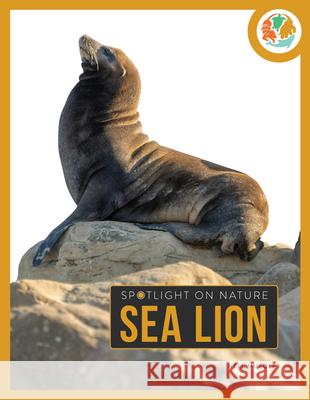 Sea Lion Nell Musolf 9781682777930
