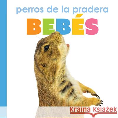 Perros de la Pradera Beb?s Kim Thompson 9781682779002 Creative Paperbacks