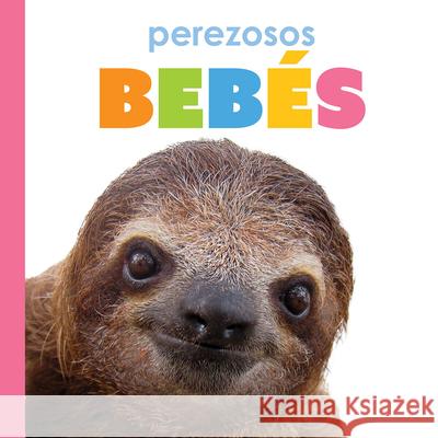 Perezosos Beb?s Kim Thompson 9781682779033 Creative Paperbacks