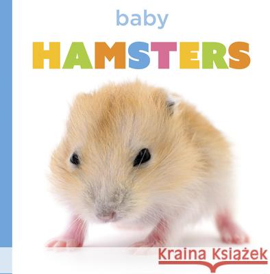 Baby Hamsters Laura K. Murray 9781682779866