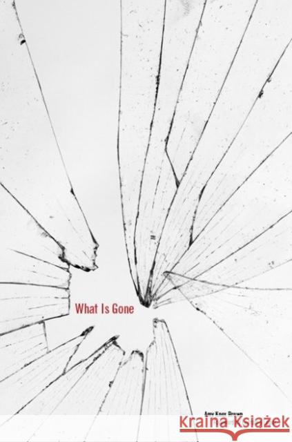 What Is Gone Amy Knox Brown 9781682830000 Texas Tech University Press