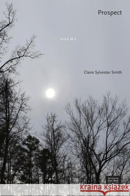 Prospect: Poems Smith, Claire Sylvester 9781682830369 Texas Tech University Press