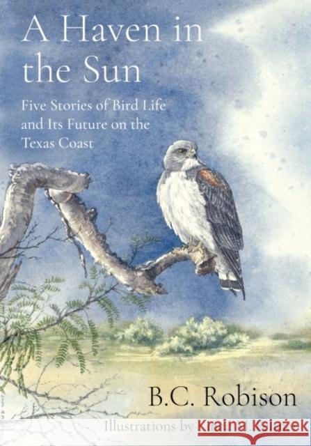 A Haven in the Sun: Five Stories of Bird Life and Its Future on the Texas Coast B. C. Robison Linda M. Feltner 9781682830635 Texas Tech University Press