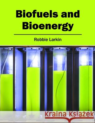Biofuels and Bioenergy Robbie Larkin 9781682862483 Syrawood Publishing House