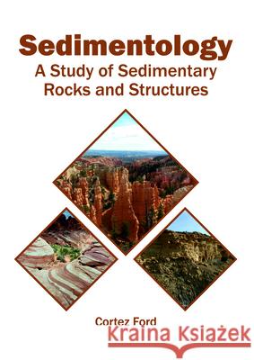 Sedimentology: A Study of Sedimentary Rocks and Structures Cortez Ford 9781682866061 Syrawood Publishing House