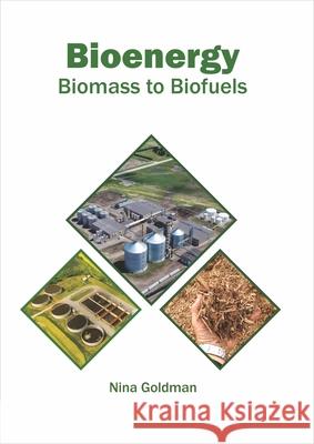 Bioenergy: Biomass to Biofuels Nina Goldman 9781682867594