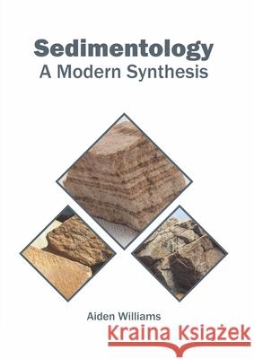 Sedimentology: A Modern Synthesis Aiden Williams 9781682867884