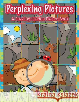 Perplexing Pictures: A Puzzling Hidden Picture Book Activity Attic Books 9781683235415 Activity Attic
