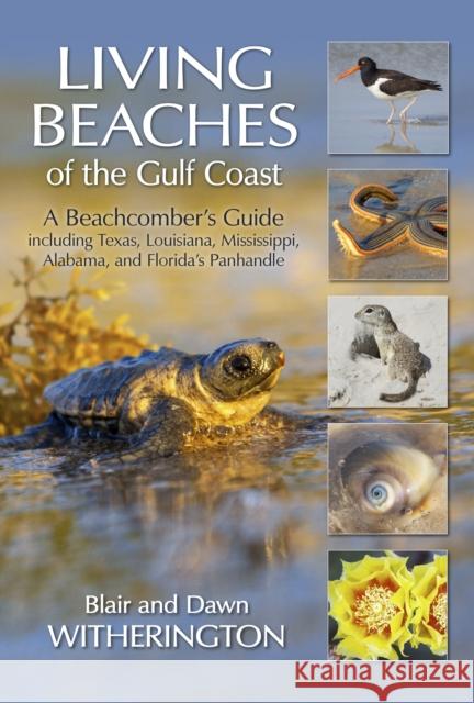 Living Beaches of the Gulf Coast: A Beachcombers Guide Including Texas, Louisiana, Mississippi, Alabama and Florida's Panhandle Witherington, Blair 9781683340560