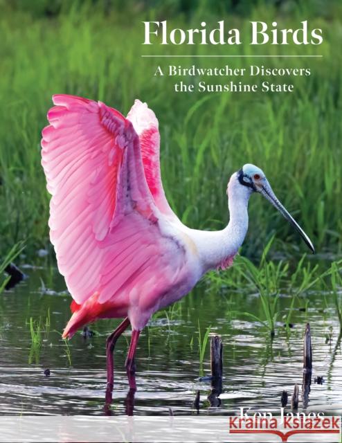 Florida Birds: A Birdwatcher Discovers the Sunshine State Janes, Ken 9781683343448 Pineapple Press