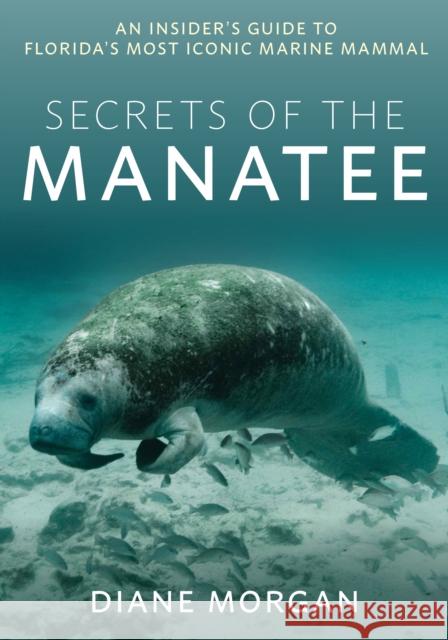 Secrets of the Manatee: An Insider's Guide to Florida's Most Iconic Marine Mammal Diane Morgan 9781683343486 Pineapple Press