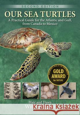 Our Sea Turtles: A Practical Guide for the Atlantic and Gulf, from Canada to Mexico Dawn Witherington 9781683343561
