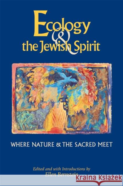 Ecology & the Jewish Spirit: Where Nature & the Sacred Meet Ellen Bernstein Ellen Bernstein 9781683360407 Jewish Lights Publishing