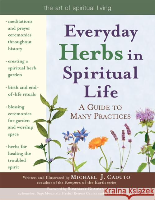 Everyday Herbs in Spiritual Life: A Guide to Many Practices Michael J. Caduto Micheal J. Caduto Michael J. Caduto 9781683360513 Skylight Paths Publishing