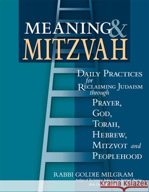 Meaning & Mitzvah: Daily Practices for Reclaiming Judaism Through Prayer, God, Torah, Hebrew, Mitzvot and Peoplehood Goldie Milgram 9781683361893 Jewish Lights Publishing