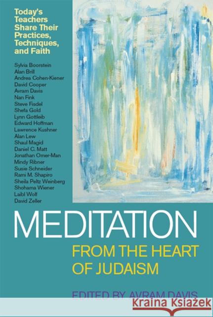 Meditation from the Heart of Judaism Avram Davis Sylvia Boorstein Alan Brill 9781683361916